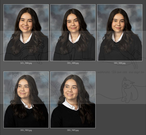 Viviana's_YearbookOptions_1